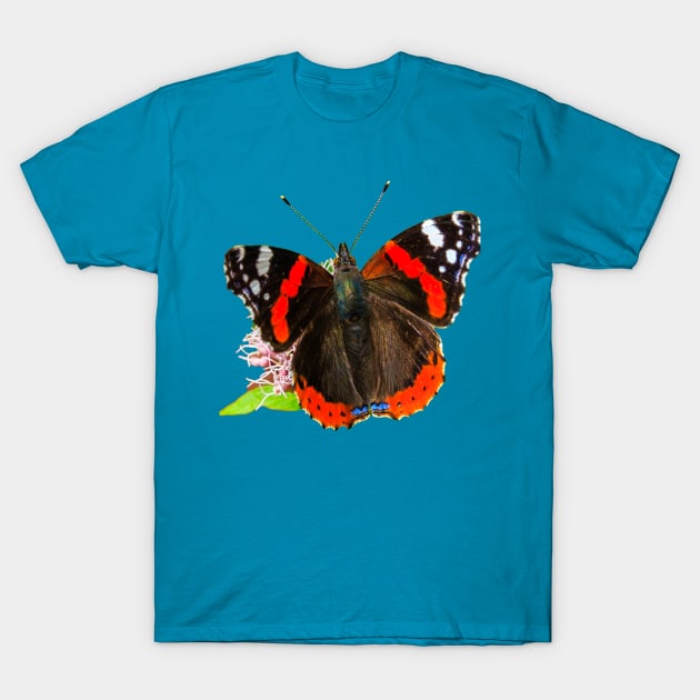 Red Admiral Butterfly T-Shirt by dalyndigaital2@gmail.com